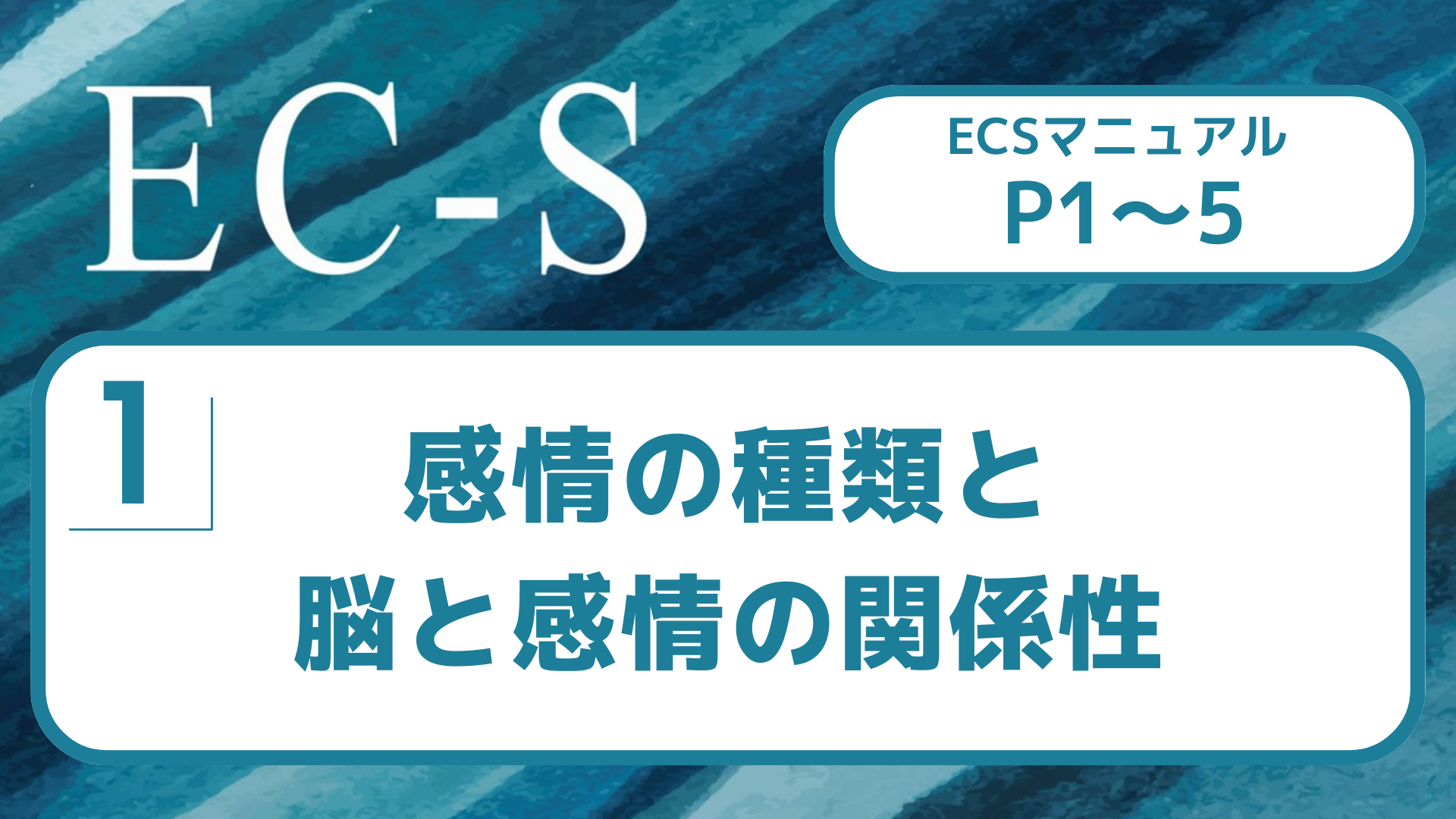 【１】感情の種類と脳と感情の関係性